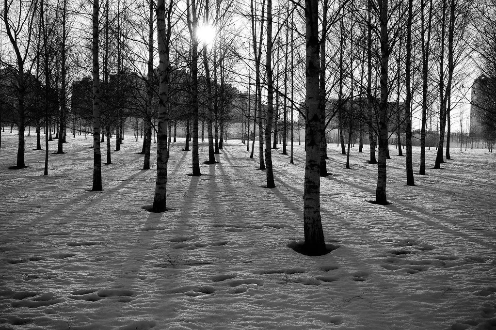 leica summicron 50mm f2 landscape photography 1 leica summicron 50mm f2 landscape photography 1